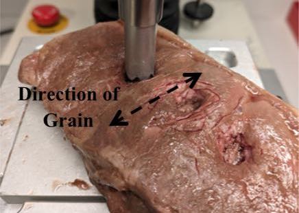 image of steak being tested